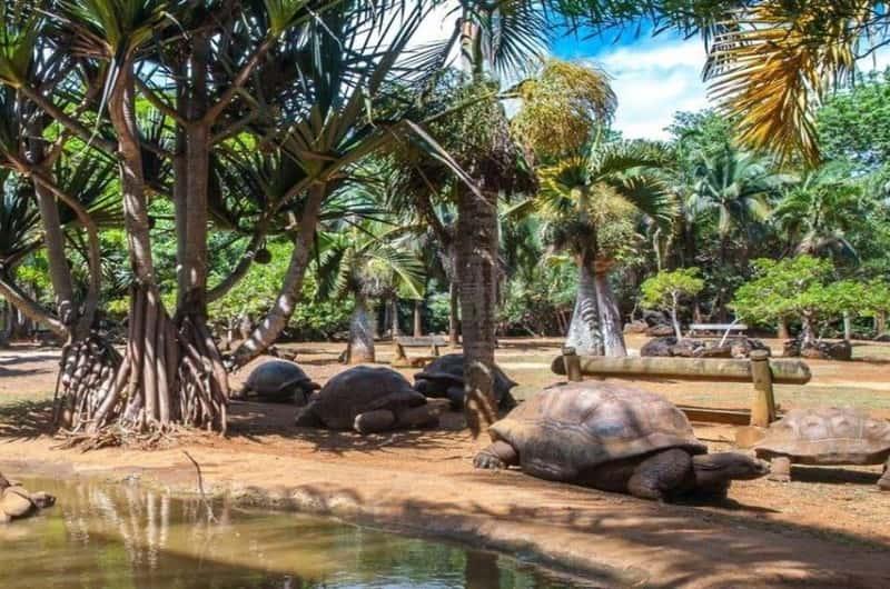 Vanilla Nature Park